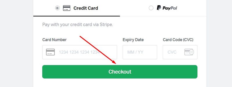elementor payment option