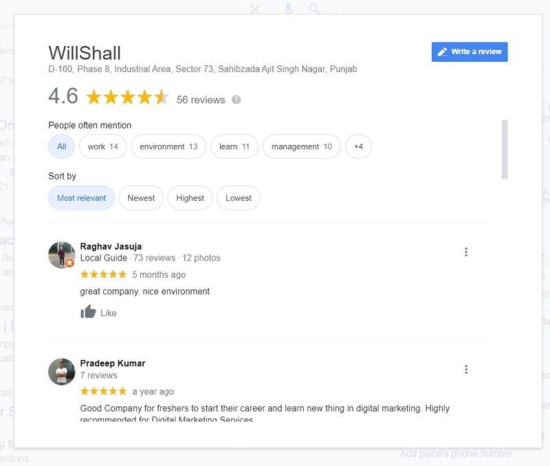WillShall Reviews